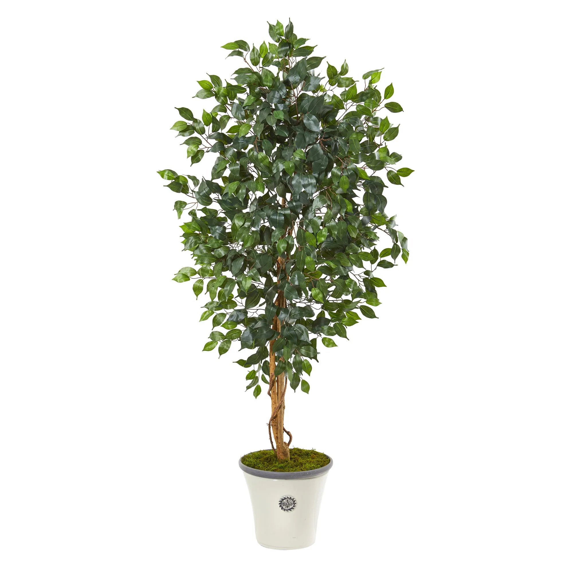 65" Artificial Ficus Tree in Decorative Planter - Low Maintenance, Life-Like & Vibrant Silk Trees For Busy People.