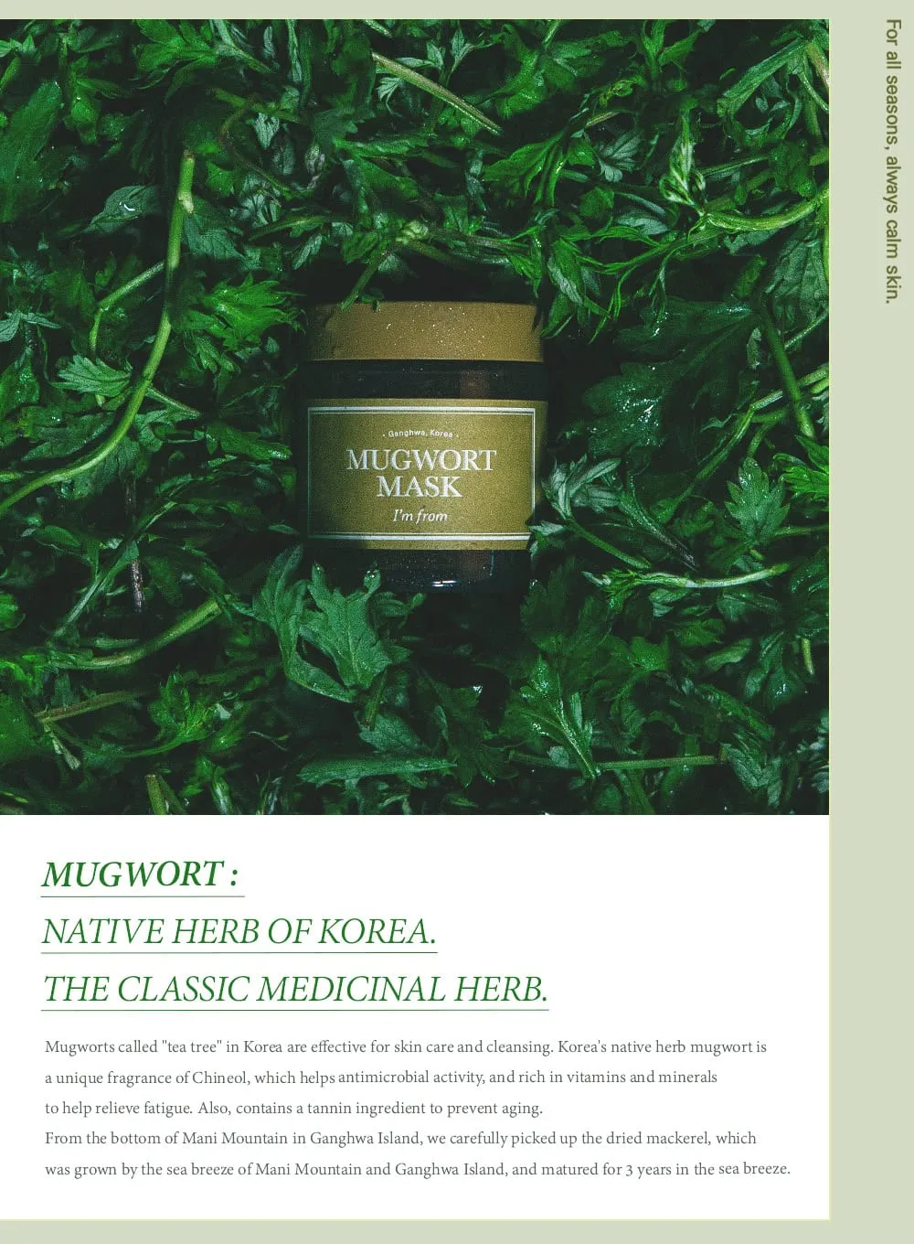 Mugwort Mask (110g)