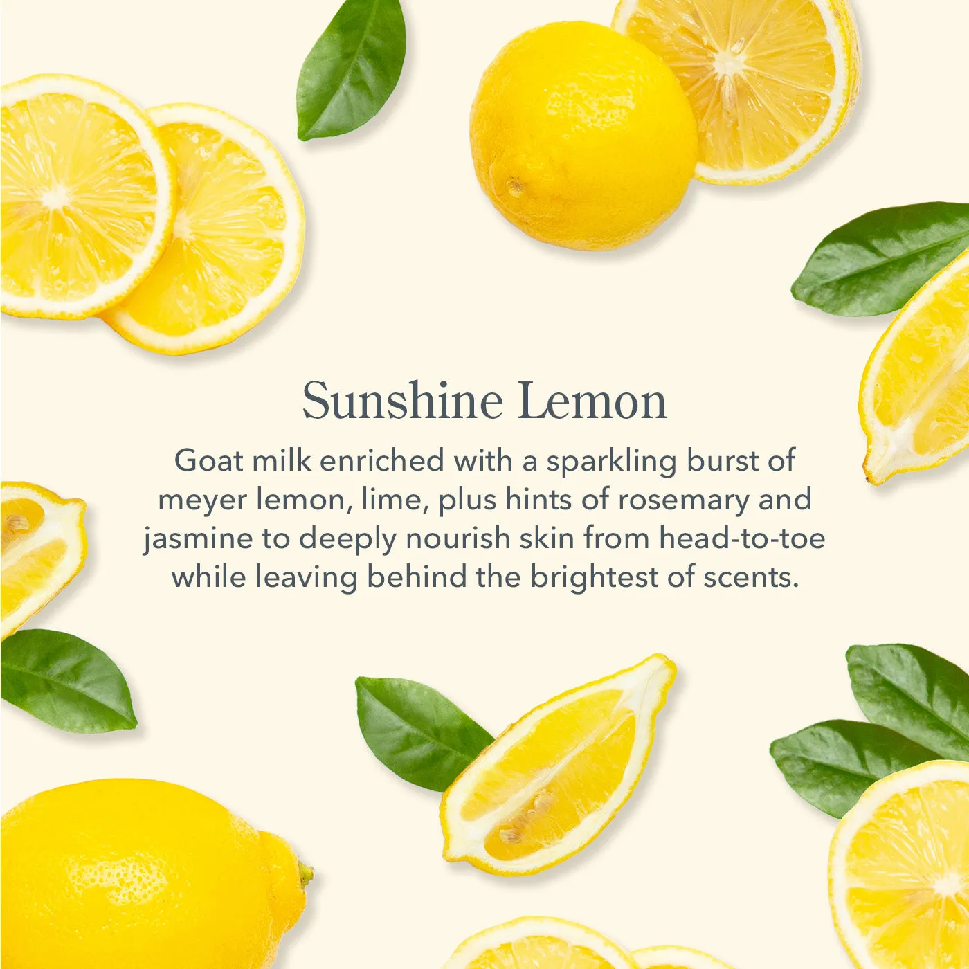 Sunshine Lemon Lip Balm